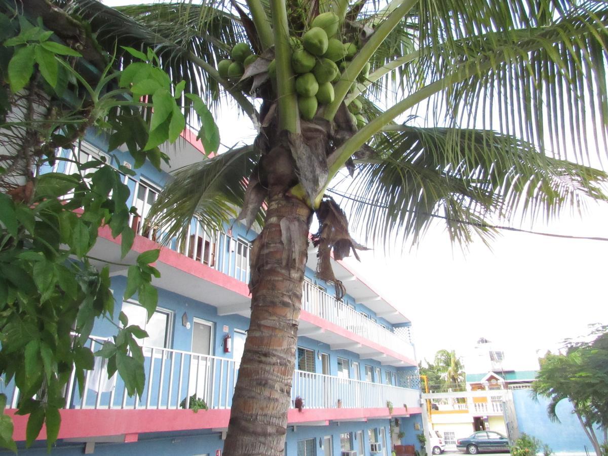 Blue Coconut Cancun Hotel Exteriér fotografie